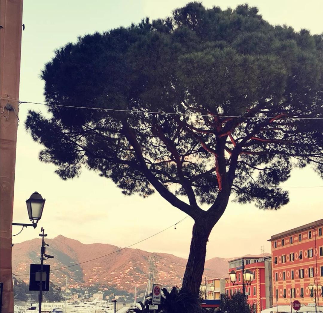 Il Porto Di Santa - A Un Passo Da Portofino * Santa Margherita Ligure